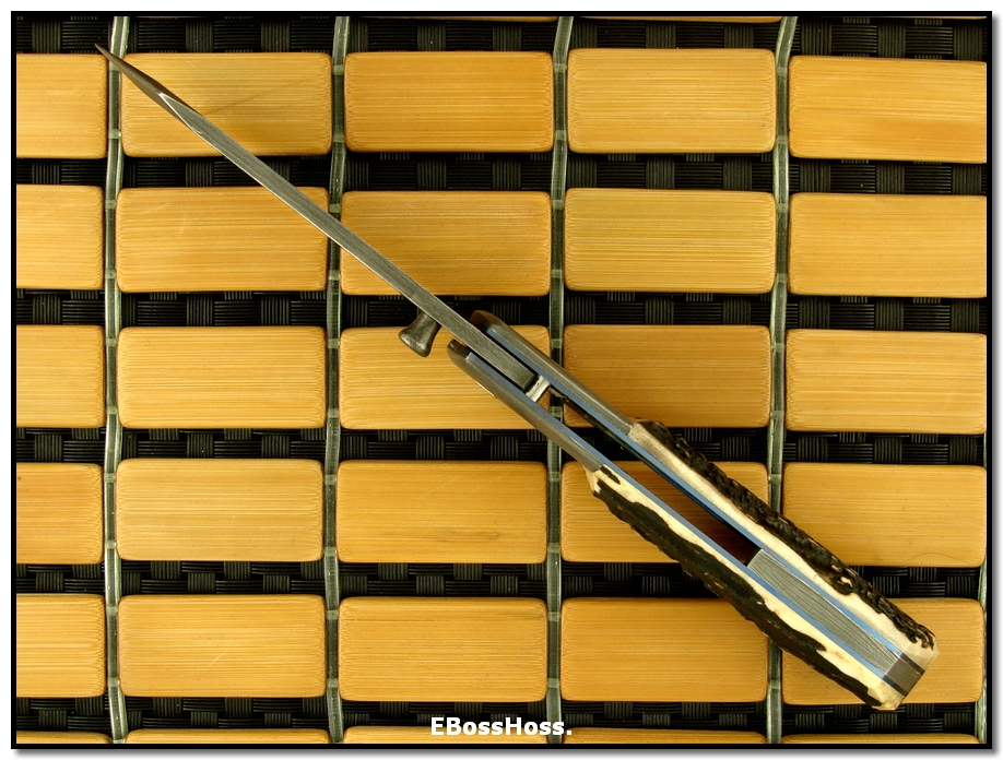 Wally Hayes Dlx. Folder - Stag