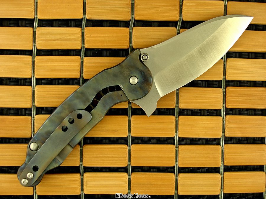 Steve Ryan Spinosaurus Framelock Flipper