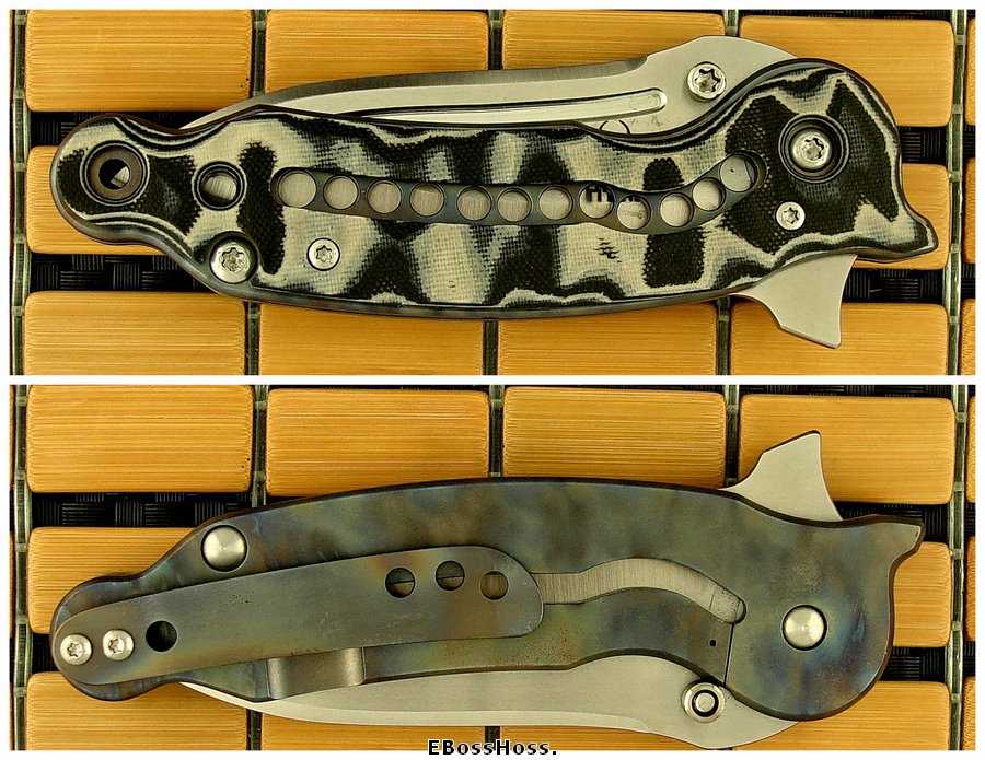 Steve Ryan Spinosaurus Framelock Flipper