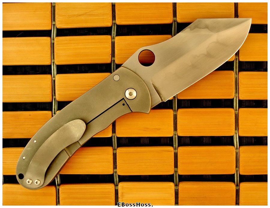 Michael Burch Platypus